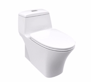 逸韻 3/4.8升節(jié)水型連體座廁CP-2009