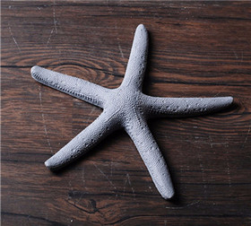 卓爾 RB-278L海星